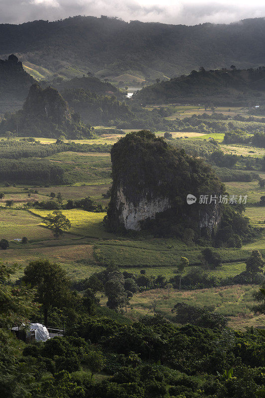 泰国Phayao省的Phu Langka山森林公园的晨景